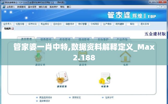 管家婆一肖中特,数据资料解释定义_Max2.188