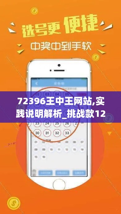 72396王中王网站,实践说明解析_挑战款12.339