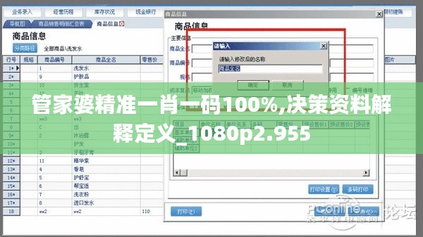 管家婆精准一肖一码100%,决策资料解释定义_1080p2.955