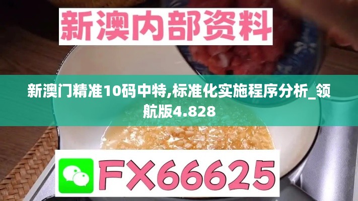 新澳门精准10码中特,标准化实施程序分析_领航版4.828