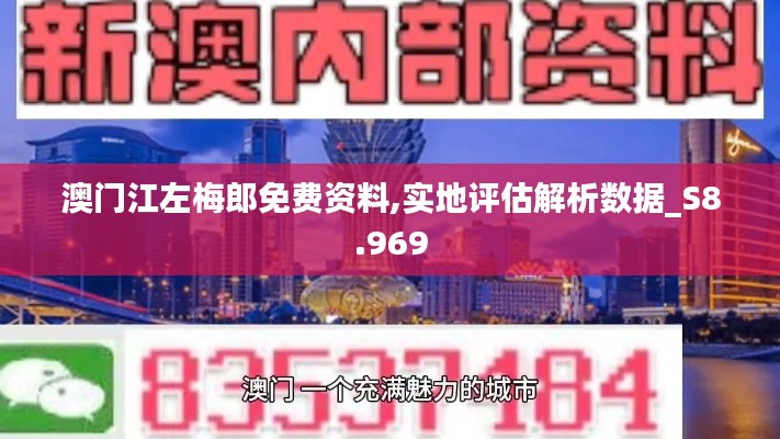 澳门江左梅郎免费资料,实地评估解析数据_S8.969