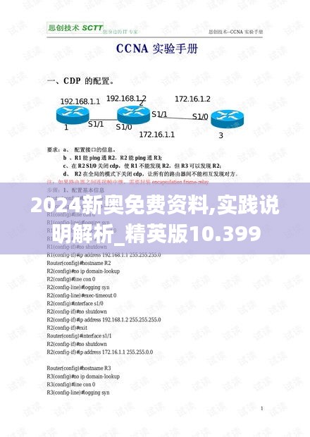 2024年12月8日 第49页