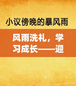 风雨中成长，迎接12月6日暴雨的正能量启示