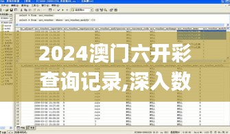 2024澳门六开彩查询记录,深入数据策略设计_增强版5.331