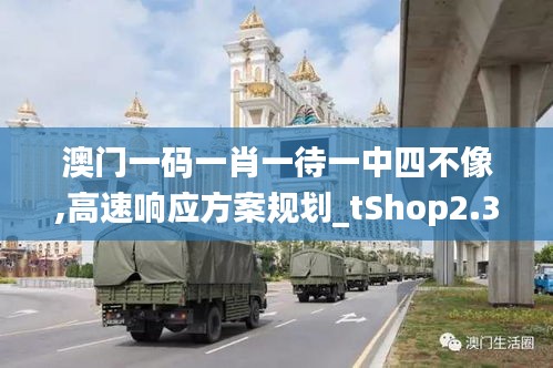 澳门一码一肖一待一中四不像,高速响应方案规划_tShop2.364