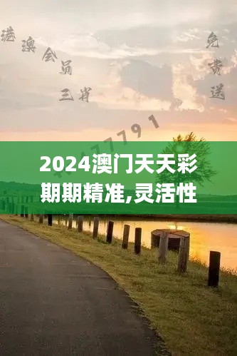 2024澳门天天彩期期精准,灵活性策略设计_豪华款10.336