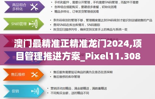 澳门最精准正精准龙门2024,项目管理推进方案_Pixel11.308