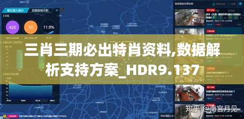 三肖三期必出特肖资料,数据解析支持方案_HDR9.137