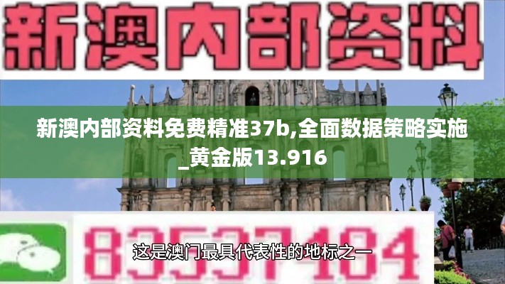 新澳内部资料免费精准37b,全面数据策略实施_黄金版13.916