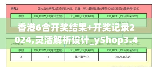 香港6合开奖结果+开奖记录2024,灵活解析设计_yShop3.484