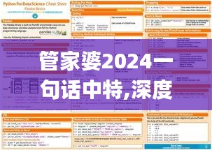 管家婆2024一句话中特,深度数据解析应用_SP4.190