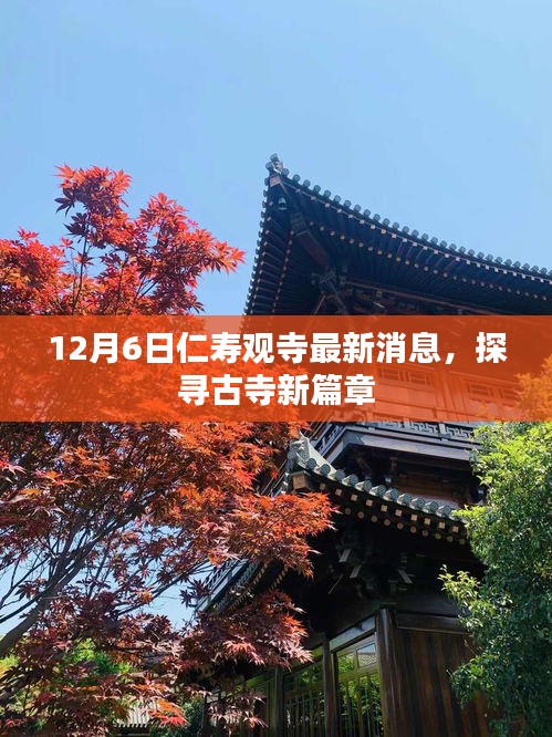 探寻古寺新篇章，仁寿观寺最新消息