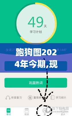 跑狗图2024年今期,现状解析说明_界面版9.925