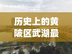 黄陂区武湖最新房价深度解析与介绍，历史视角下的房价变迁