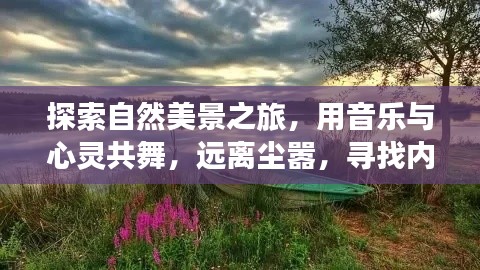 自然美景之旅，音乐与心灵的共舞，寻找宁静的内心之境