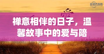 禅意相伴的温馨时光，爱与陪伴的故事