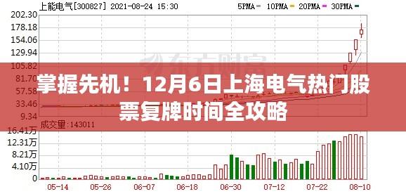 2024年12月8日 第20页