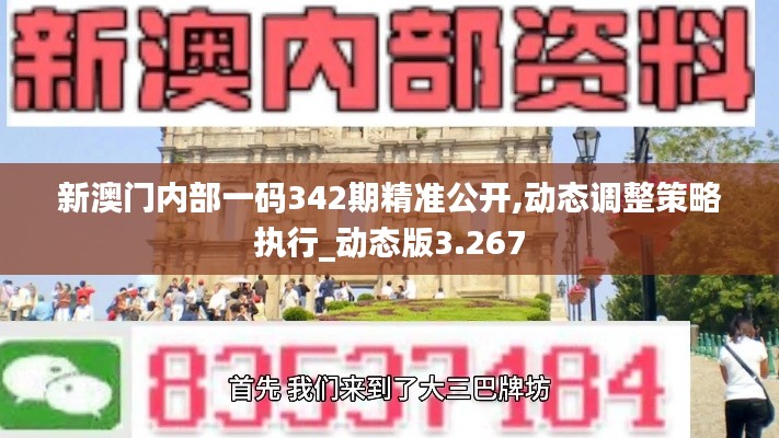 新澳门内部一码342期精准公开,动态调整策略执行_动态版3.267