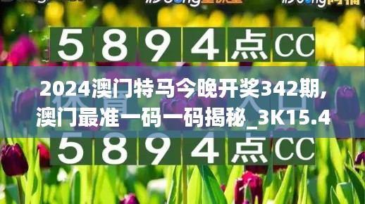 2024年12月8日 第15页