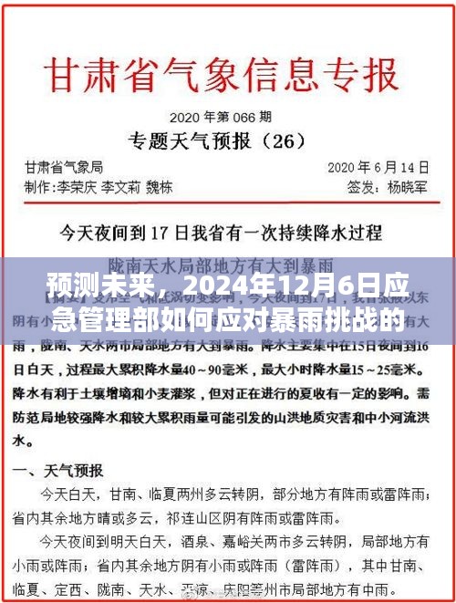 应急管理部应对暴雨挑战的最新动态，预测未来，2024年12月6日的应对策略