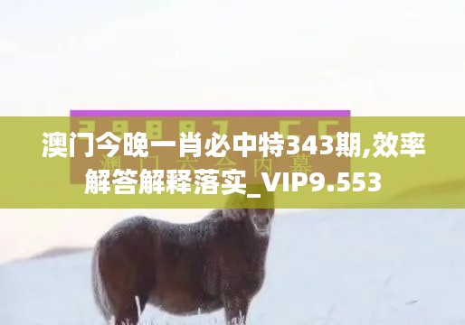 澳门今晚一肖必中特343期,效率解答解释落实_VIP9.553