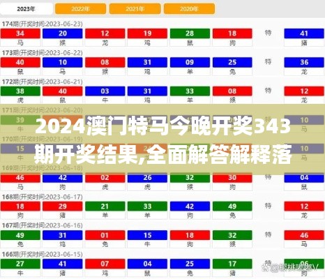 2024澳门特马今晚开奖343期开奖结果,全面解答解释落实_RX版2.605