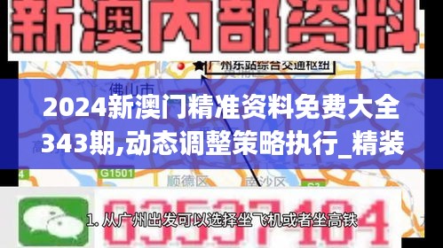 2024新澳门精准资料免费大全343期,动态调整策略执行_精装款6.116