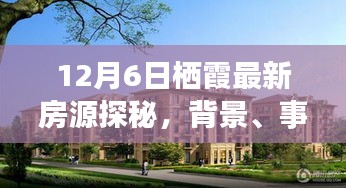 探秘栖霞最新房源，背景、事件与影响（12月6日更新）