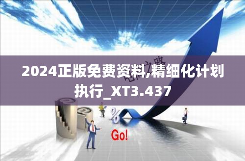 2024正版免费资料,精细化计划执行_XT3.437