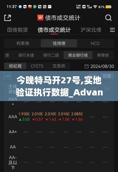 今晚特马开27号,实地验证执行数据_Advanced10.813