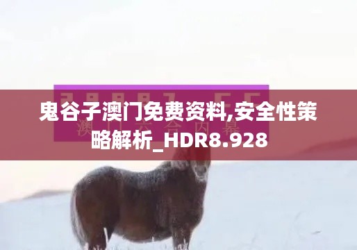 鬼谷子澳门免费资料,安全性策略解析_HDR8.928