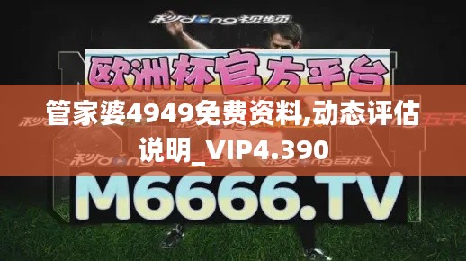 管家婆4949免费资料,动态评估说明_VIP4.390