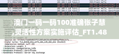 澳门一码一码100准确张子慧,灵活性方案实施评估_FT1.485