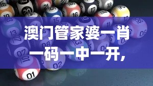 澳门管家婆一肖一码一中一开,实时解答解析说明_8DM3.483