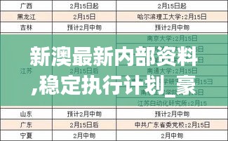 新澳最新内部资料,稳定执行计划_豪华款1.656