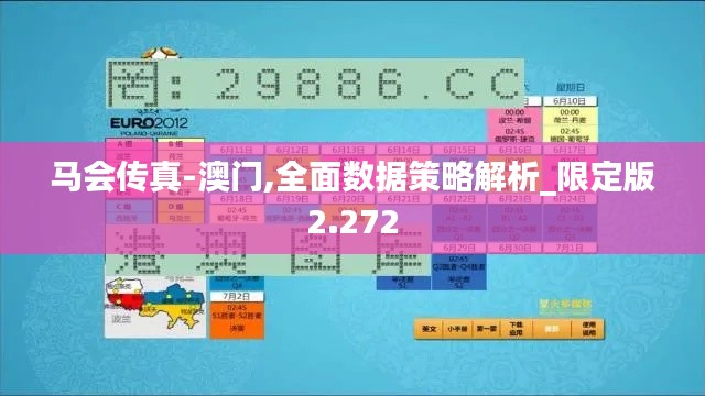 马会传真-澳门,全面数据策略解析_限定版2.272