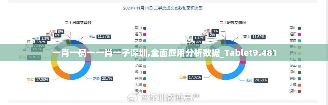 一肖一码一一肖一子深圳,全面应用分析数据_Tablet9.481