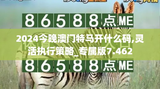 2024今晚澳门特马开什么码,灵活执行策略_专属版7.462