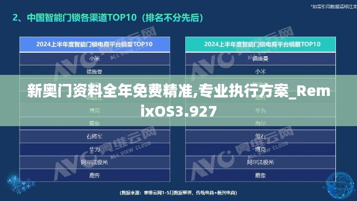 新奥门资料全年免费精准,专业执行方案_RemixOS3.927