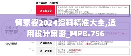 管家婆2024资料精准大全,适用设计策略_MP8.756