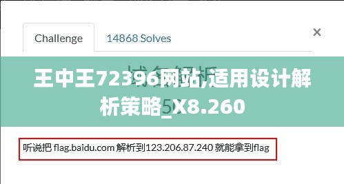 王中王72396网站,适用设计解析策略_X8.260