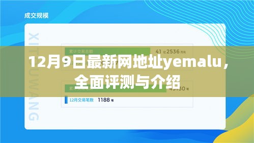 最新网地址yemalu全面评测与介绍（12月9日更新）