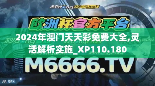 2024年澳门天天彩免费大全,灵活解析实施_XP110.180