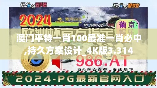 澳门平特一肖100最准一肖必中,持久方案设计_4K版3.314