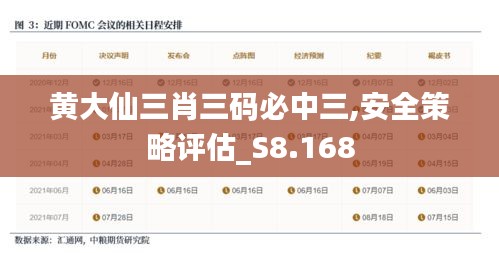 黄大仙三肖三码必中三,安全策略评估_S8.168