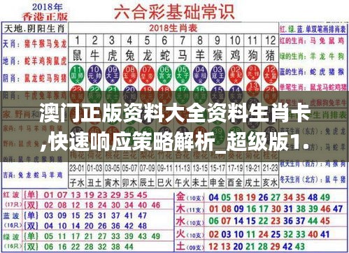 2024年12月9日 第31页