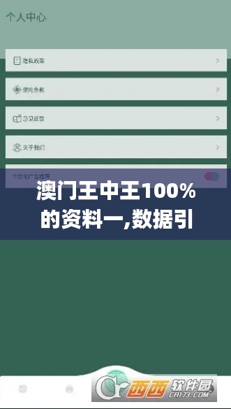 澳门王中王100%的资料一,数据引导执行计划_网页版7.863