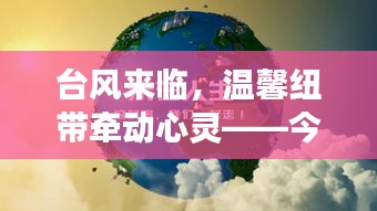 台风来袭之际的温馨纽带，今日故事特辑，12月9日