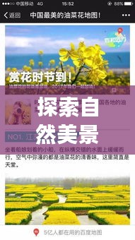 自然探索之旅与马尾厨师新岗位揭秘，追寻内心宁静与味蕾盛宴的启程