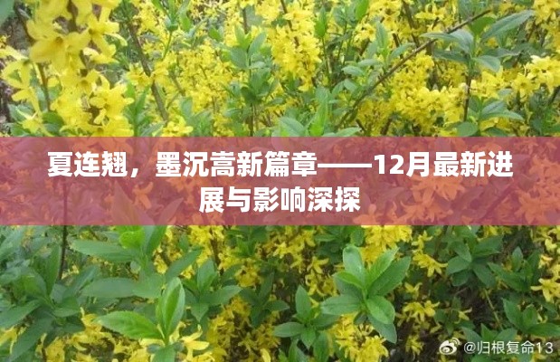 夏连翘与墨沉嵩新篇章，12月最新进展深度解析